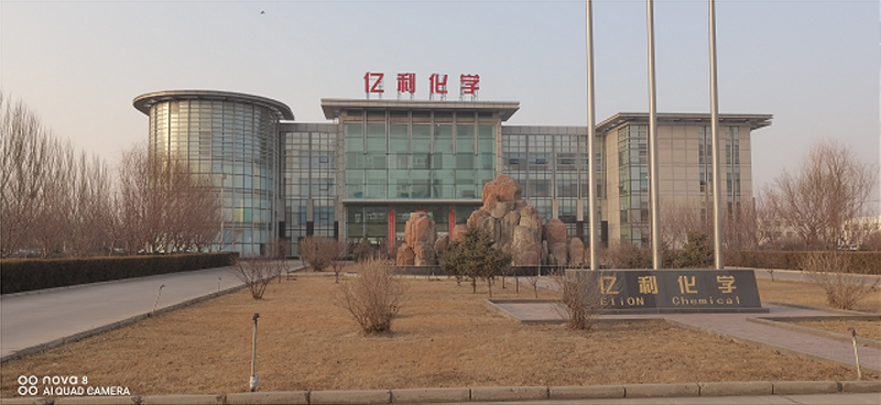 内蒙古亿利化学集团（健康码测温考勤摆闸）(图1)